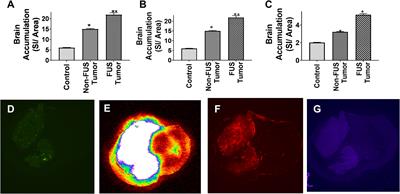 Blood tumor barrier opening by MRI guided transcranial Frontiers